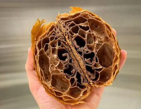 Imagen de un producto gastronómico extraño de AZ Gastronomía